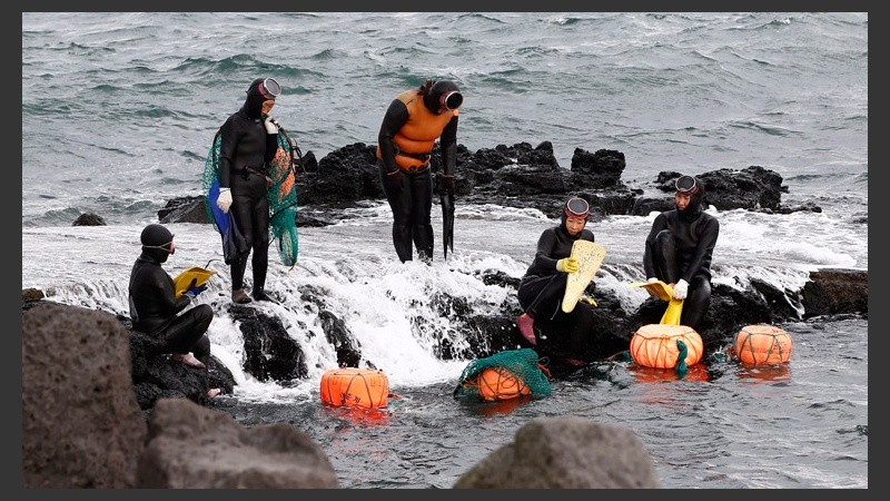 Sin ayuda de oxígeno asistido, las mujeres descienden alrededor de 10 metros desafiando los peligros del mar revuelto. (EFE)