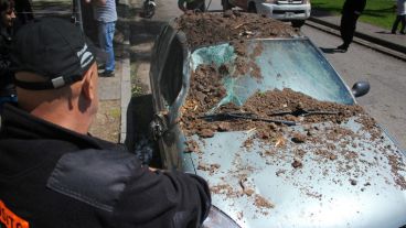 Así quedó el Renault Clio tras el impacto del árbol. (Alan Monzón/Rosario3.com)
