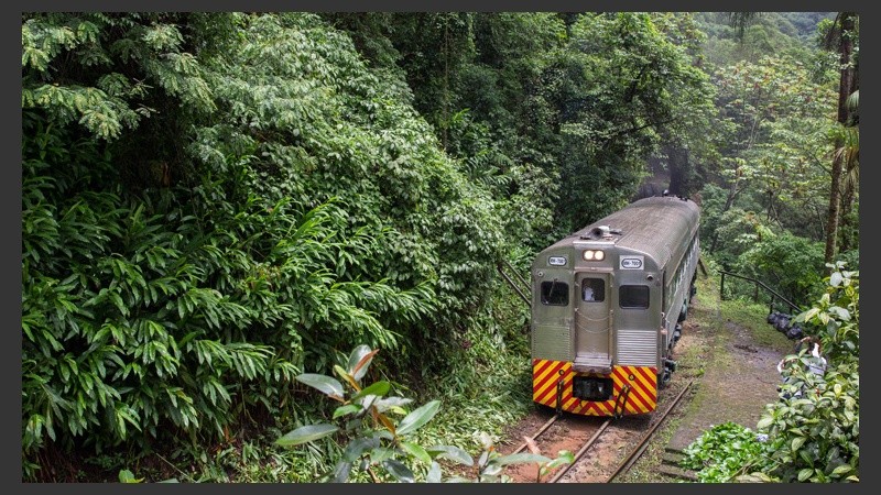 Los trenes pasan por diferentes bosques y caminos rurales. La duración es de aproximadamente dos horas, depende cada circuito. (EFE)