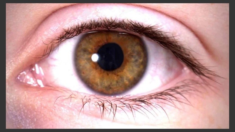 La retina es el único lugar del cuerpo donde los doctores pueden ver el sistema nervioso central sin cirugía.
