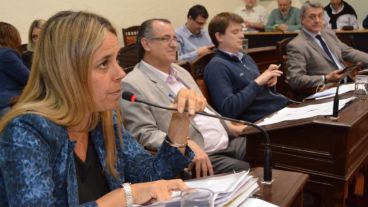 León logró el apoyo de su espacio más el PRO y parte del justicialismo.