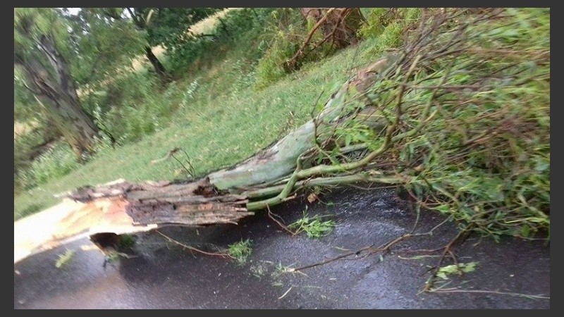 Algunas de las consecuencias del temporal de este sábado.
