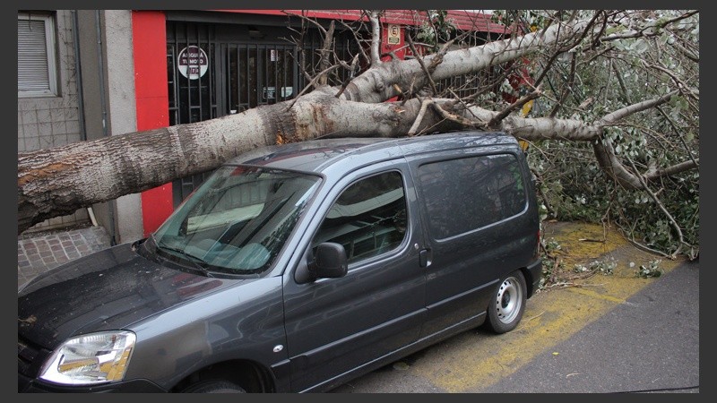 Un vehículo estacionado fue impactado por un gran árbol en dicha zona. (Rosario3.com)