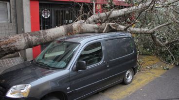 Un vehículo estacionado fue impactado por un gran árbol en dicha zona. (Rosario3.com)