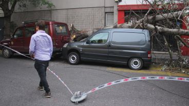 El viento derribó un árbol y una lámpara de alumbrado público en Corrientes casi Jujuy. (Rosario3.com)