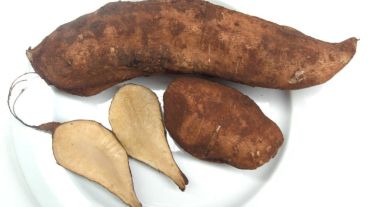 Investigadoras tucumanas buscan desarrollar un suplemento dietario en base a su raíz.
