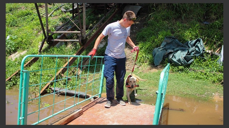 Perros rescatistas también participaron en la búsqueda del pequeño.