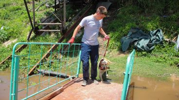 Perros rescatistas también participaron en la búsqueda del pequeño.