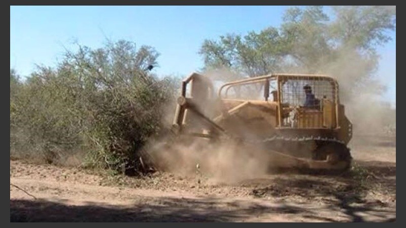 El desmonte, una práctica habitual en el norte argentino.