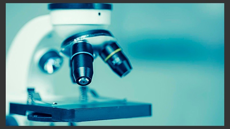 Desde febrero se proyecta la creación de la especialidad en Comunicación de la Ciencia.