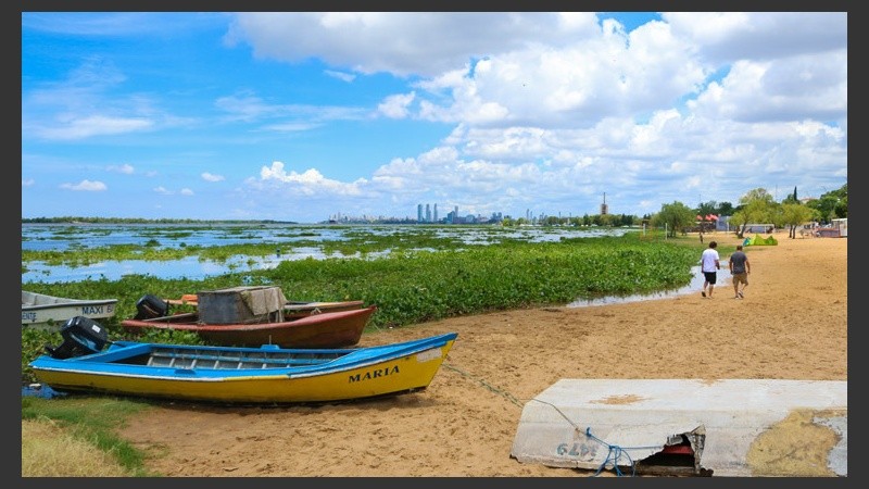 El paisaje de la costa rosarina cambió por completo por la crecida y la llegada de camalotes.  (Alan Monzón/Rosario3.com)