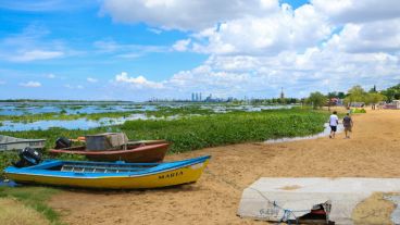 El paisaje de la costa rosarina cambió por completo por la crecida y la llegada de camalotes.  (Alan Monzón/Rosario3.com)
