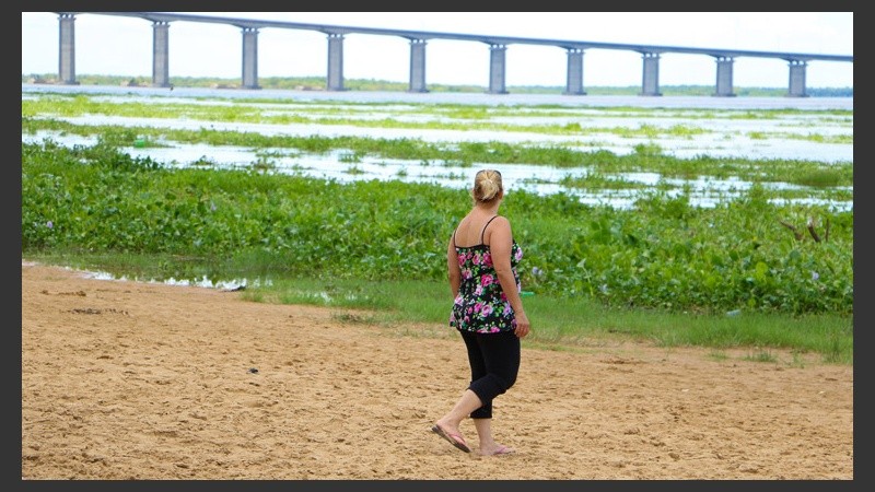 Las playas de la zona de la Rambla Catalunya no están en condiciones para los visitantes por la presencia de camalotes. (Alan Monzón/Rosario3.com)