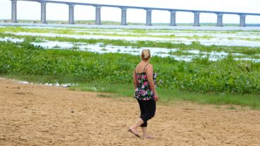 Las playas de la zona de la Rambla Catalunya no están en condiciones para los visitantes por la presencia de camalotes. (Alan Monzón/Rosario3.com)