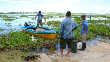 Los pescadores tienen sus inconvenientes para trabajar.  (Alan Monzón/Rosario3.com)