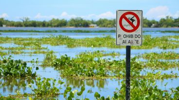 Los camalotes logran un paisaje distinto al río Paraná.  (Alan Monzón/Rosario3.com)