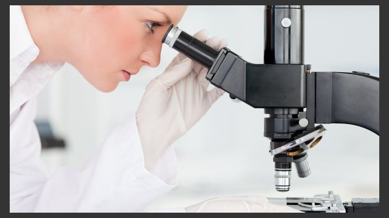 El Dioctophyma renale es uno de los nematodos más grandes que puede afectar a cualquier mamífero.