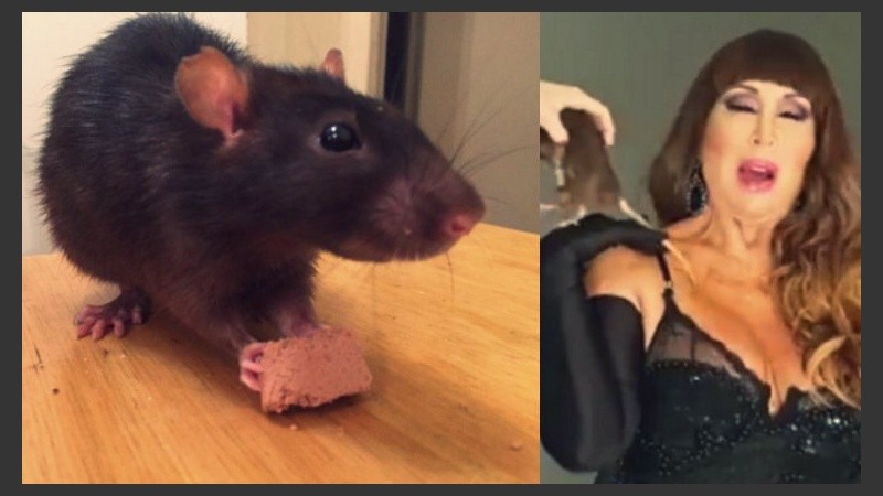 A la izquierda, Cristóbal, en un alto en trabajo. Más allá de su actitud temeraria, Moria tuvo que 