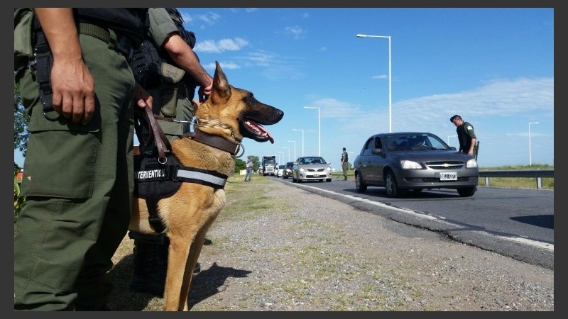 Las tareas a pie se vieron dificultadas a primera hora de la mañana por las adversas condiciones meteorológicas.