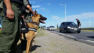 Las tareas a pie se vieron dificultadas a primera hora de la mañana por las adversas condiciones meteorológicas.