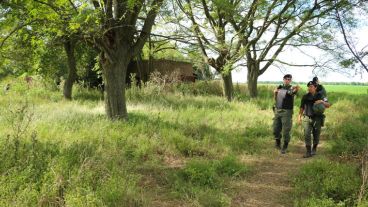Rodeado de vegetación, así es el lugar donde los Lanatta y Schillaci fueron encontrados por gendarmes tras un allanamiento. (Alan Monzón/Rosario3.com)