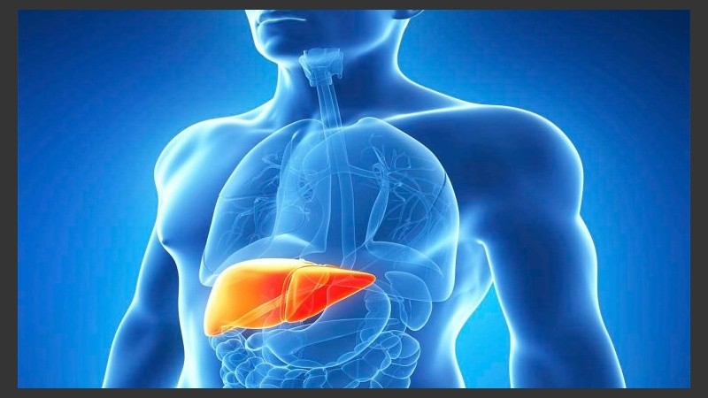 “En una primera etapa se tratará a pacientes graves que no pueden esperar