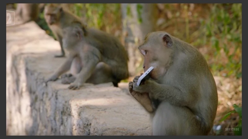 El pequeño malandrín disfrutando de su nuevo iphone