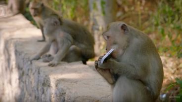 El pequeño malandrín disfrutando de su nuevo iphone