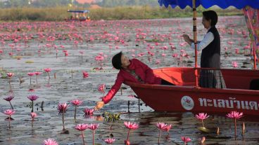 Turistas en el lago Nong Harn en Tailandia repleto de flores de Loto. (EFE)