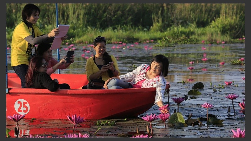 Todos quieren sacarse una foto con las flores. (EFE)