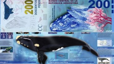La ballena en los billetes y en un manual de Ciencias Naturales.