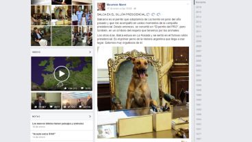 La imagen que levantó polémica: Balcarce, el perro PRO, sentado en el sillón de Rivadavia