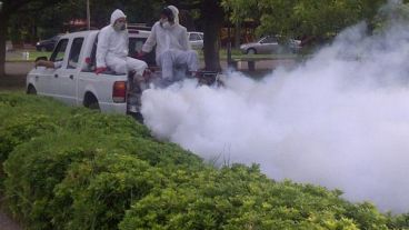 El municipio fumiga mosquitos periódicamente.