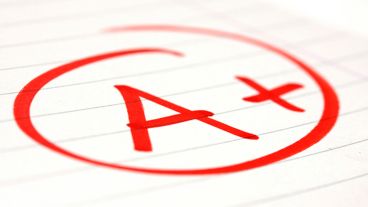 La capacidad intelectual, la psicológica, la organización, el entorno donde se estudia influyen en el resultado de un examen.