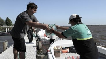 Personal del municipio llevó gran cantidad de donaciones a los isleños este viernes. (Alan Monzón/Rosario3.com)
