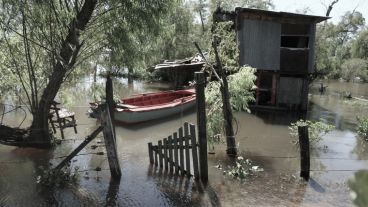 La crecida ocultó los senderos de tierra en las casas ubicadas en la isla El Espinillo. (Alan Monzón/Rosario3.com)