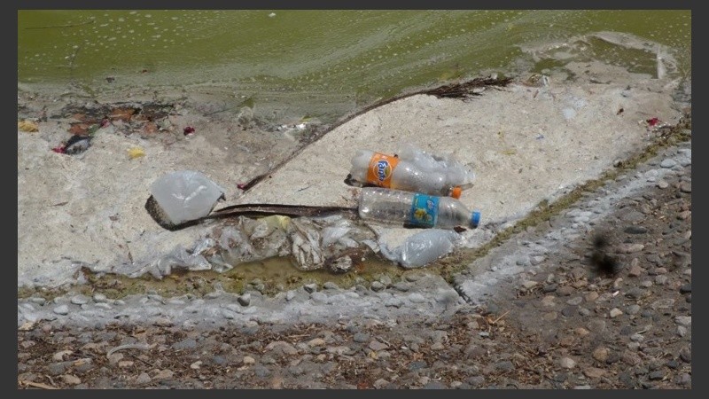 La suciedad en el lago del Parque tomada por la cámara de Ivo. 