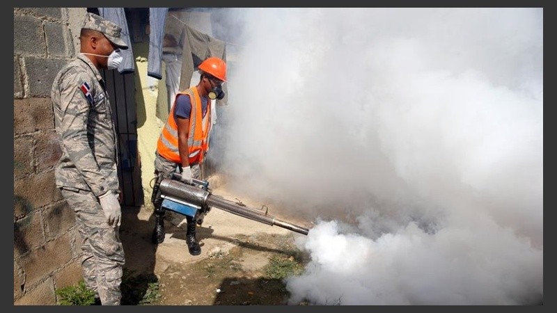 Se multiplican las tareas para combatir el virus en todo el continente. 