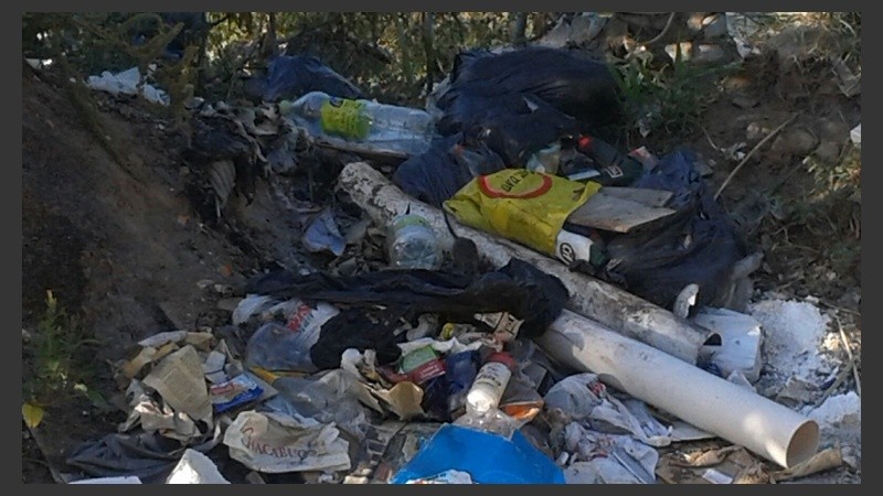 El basural está ubicado en calle 1209 y Francia. 