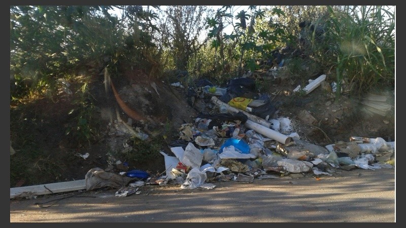 Ratas y mosquitos conviven en medio de yuyos altos, basura y agua estancada. 