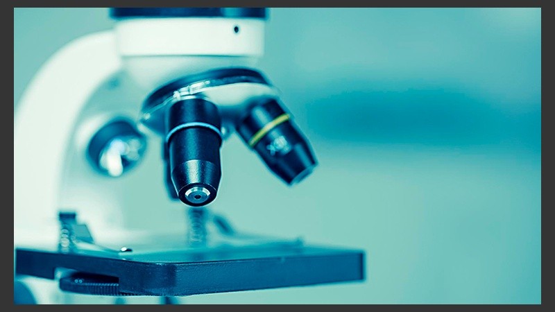 Se trata del primer trabajo que analiza el impacto de la combinación de estas sustancias sobre el testículo.