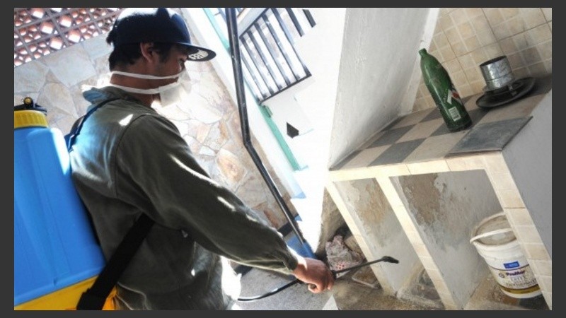 En Rosario siguen las tareas pero remarcan que lo principal es descacharrizar.