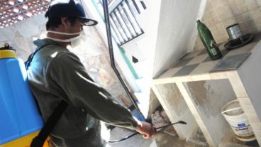 En Rosario siguen las tareas pero remarcan que lo principal es descacharrizar.