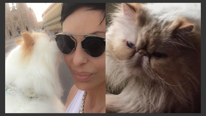 “Danielita querida, por mucho menos que esto, hay gente que esta internada”, escribió uno de sus seguidores.