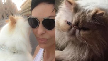 “Danielita querida, por mucho menos que esto, hay gente que esta internada”, escribió uno de sus seguidores.