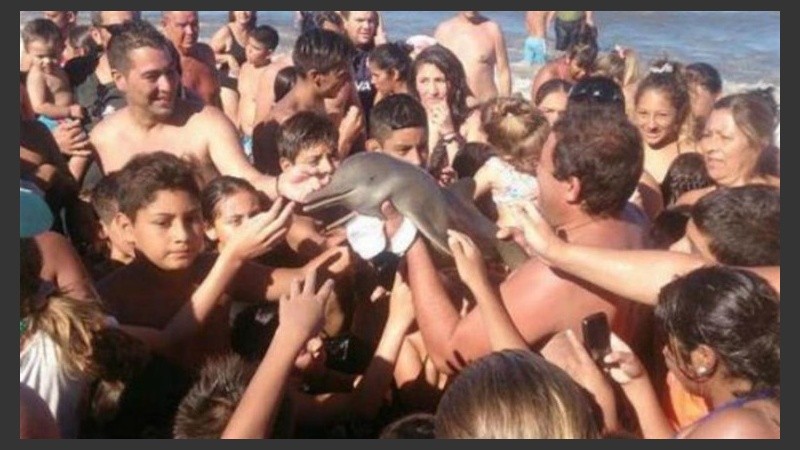 Franciscana en Santa Teresita