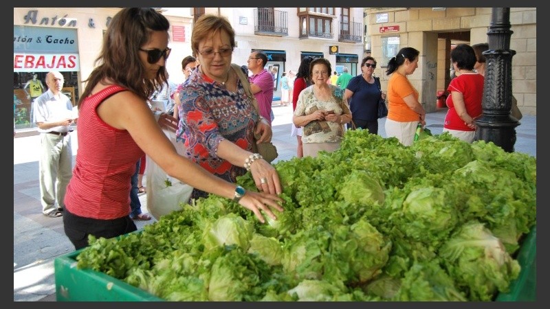 La lechuga está cara y hay que buscar alternativas. 