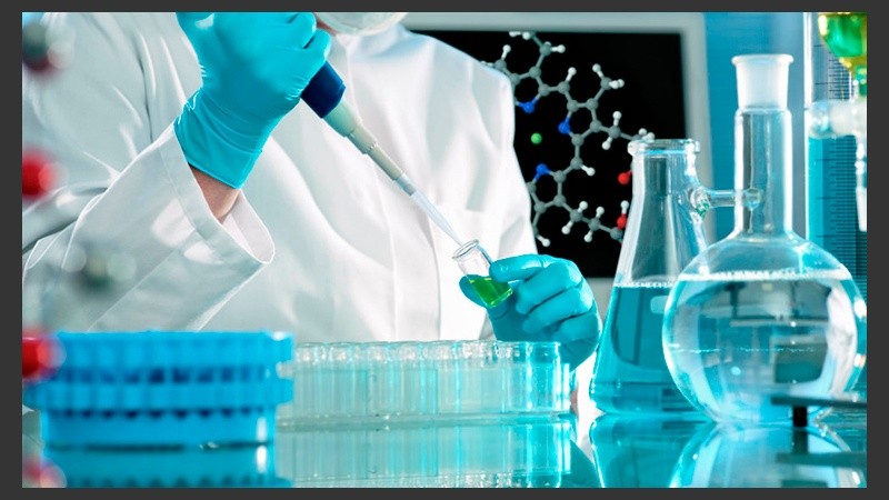 Este descubrimiento les permitirán estudiar las bases moleculares de enfermedades genéticas relacionadas con la falta de estas proteínas.