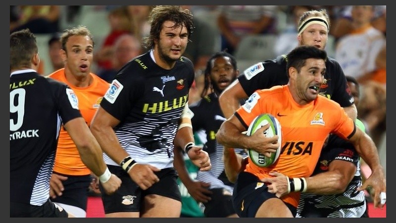 Jaguares que van por más.