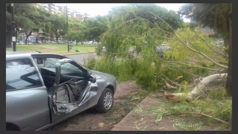 Así quedó el auto tras desplomarse la pesada rama.